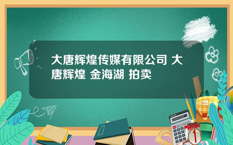 大唐辉煌传媒有限公司 大唐辉煌 金海湖 拍卖